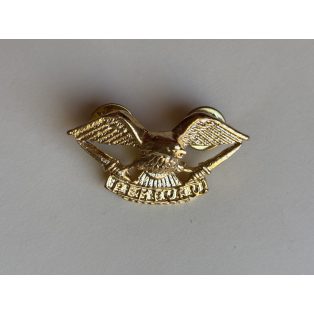   Indonesia TNI "Pemburu" Army Task Force Eagle Hunter Wings Badge