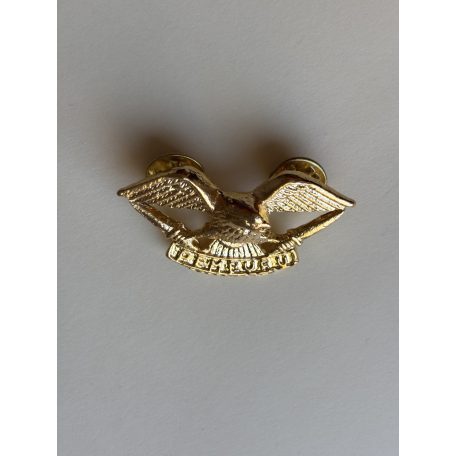 Indonesia TNI "Pemburu" Army Task Force Eagle Hunter Wings Badge