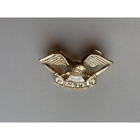 Indonesia TNI "Pemburu" Army Task Force Eagle Hunter Wings Badge