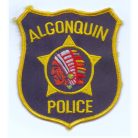 Illinois Algonquin Police PATCH