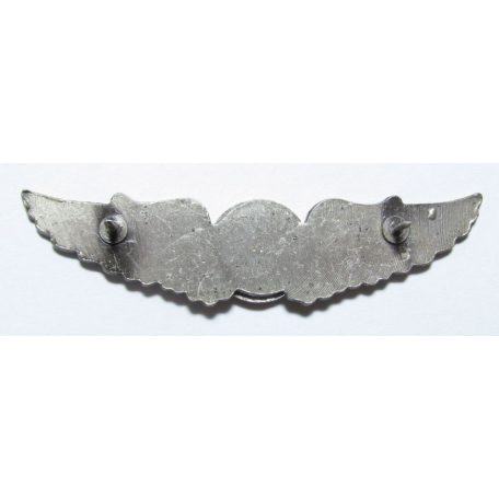 Taiwan- Basic Pilot Badge (Silver)