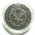 Operation Desert Sabre Persian Gulf 1991 Coin