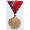 Hungarian Blood Donation (Red Cross) Medal 100th time
