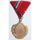 Hungarian Blood Donation (Red Cross) Medal 100th time