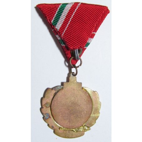Hungarian Blood Donation (Red Cross) Medal 100th time