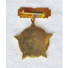 Hungarian Excellent Worker of Water Management Medal