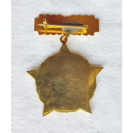 Hungarian Excellent Worker of Water Management Medal