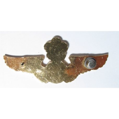 Taiwan- Commander Medical Badge (Gold)