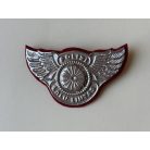  Indonesia Patroli Keamanan Sekolah (PKS) Badge