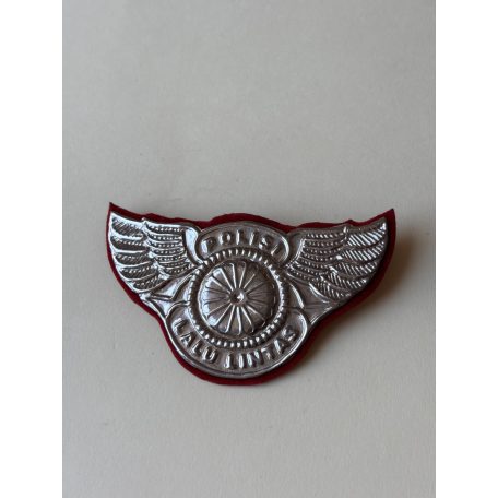  Indonesia Patroli Keamanan Sekolah (PKS) Badge