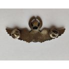 Taiwan - Senior Pilot Badge (Silver)