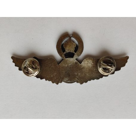 Taiwan - Senior Pilot Badge (Silver)