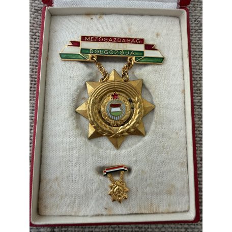 Hungarian cased Excellent Worker of the Agriculture badge with miniature