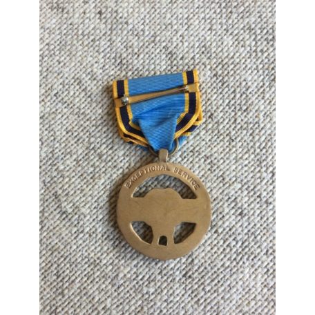 USA Full size US NASA Exceptional Service medal
