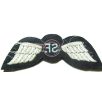 British Jedburghs Special Force SF Wings 