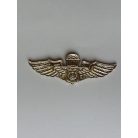 Indonesia (Indonesian Police) Penerjun Polri Parachute Wings Badge