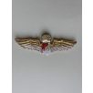   Indonesia (Indonesian Police) Penerjun Polri Parachute Wings Badge