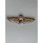 Indonesia (Indonesian Police) Penerjun Polri Parachute Wings Badge