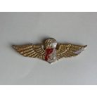 Indonesia (Indonesian Police) Penerjun Polri Parachute Wings Badge