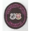   Tettnang City Germany Freiwillige Feuerwehr/ Fire Department Patch