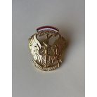 Indonesian Army Signal Corps Qualification Badge