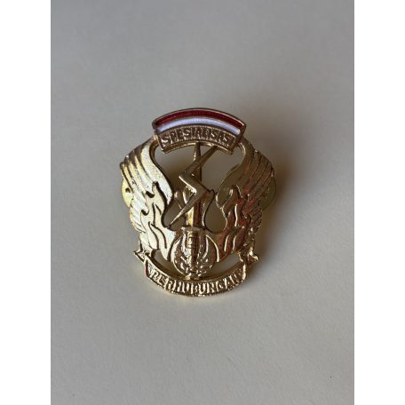 Indonesian Army Signal Corps Qualification Badge