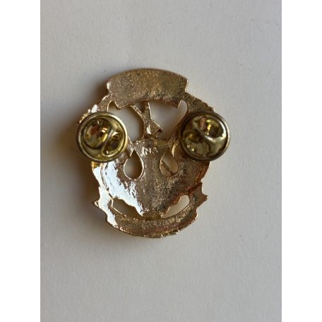 Indonesian Army Signal Corps Qualification Badge