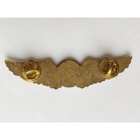 Taiwan - Radio Operator Badge (Bronze)