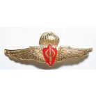 Thailand Army Para Training Reserve Center Badge