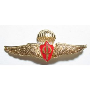 Thailand Army Para Training Reserve Center Badge