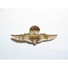 Thailand Army Para Training Reserve Center Badge