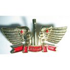 Indonesian Army Militaria Artillery "MERIAM" Badge