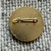Argentina Falklands - Malvinas propaganda patriotic pin