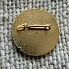 Argentina Falklands - Malvinas propaganda patriotic pin