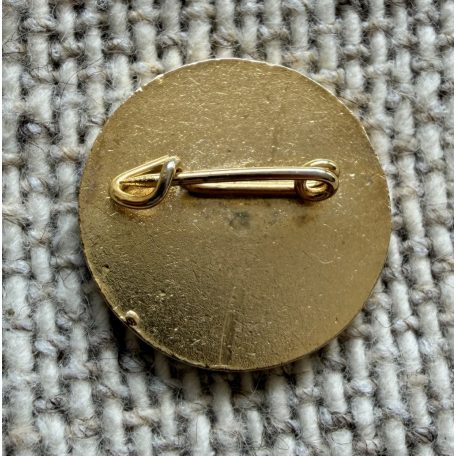 Argentina Falklands - Malvinas propaganda patriotic pin