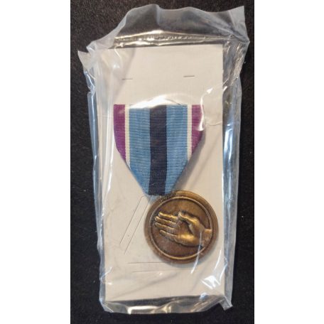 US Humanitarian Service Medal 