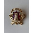 Indonesian Army Demolition Specialist Badge