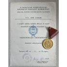 Hungarian 15 Years Defence Service Medal with award certificate