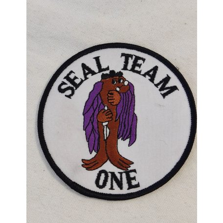 US Navy Vietnam War Seal Team One  Iron Patch