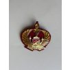 Indonesia Polri Brimob Pelopor Badge