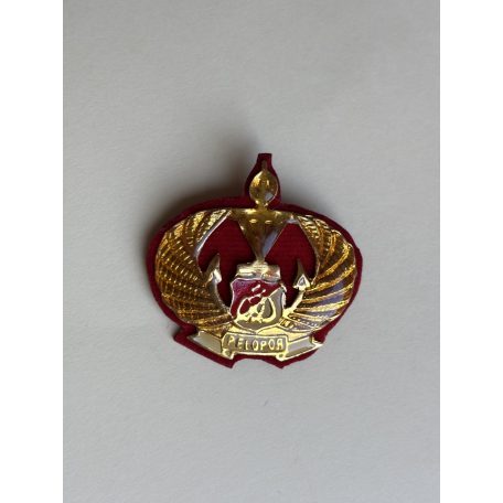 Indonesia Polri Brimob Pelopor Badge