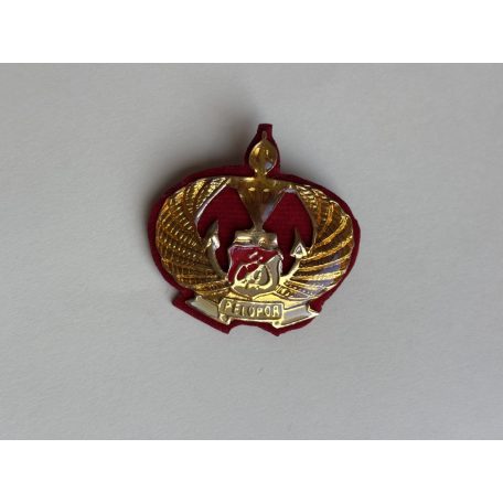Indonesia Polri Brimob Pelopor Badge