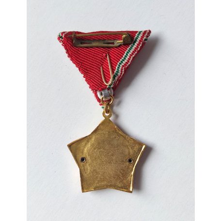 Hungarian Excellent Work Medal Hungarian Television MTV