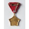   Hungarian Excellent Work Medal Népszabadság Newspaper, Press 