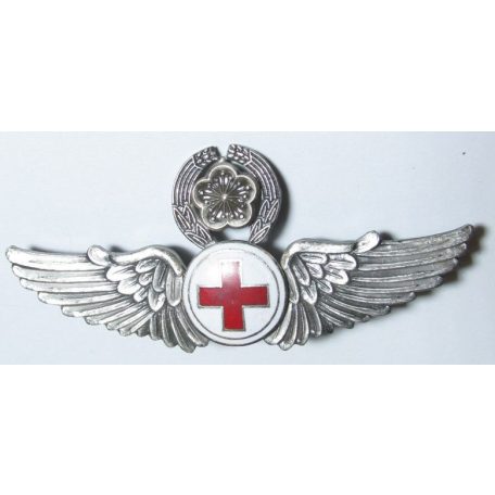 Taiwan- Senior Medical Badge (Silver)