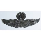 Taiwan- Senior Medical Badge (Silver)