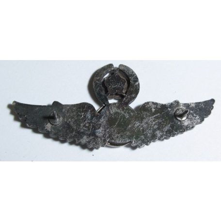 Taiwan- Senior Medical Badge (Silver)