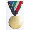 Hungarian Flood-prevention medal (Duna river) 1954