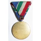 Hungarian Flood-prevention medal (Duna river) 1954