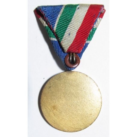 Hungarian Flood-prevention medal (Duna river) 1954